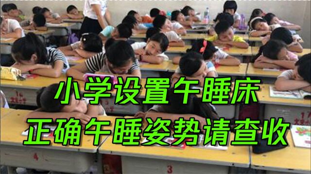 深圳小学设置午睡床意外走红!医生:错误的午睡姿势很伤身体!