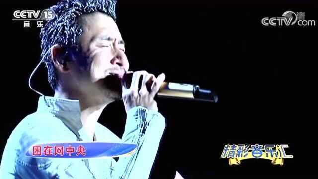 [精彩音乐汇]歌曲精选:《情网》张学友演唱