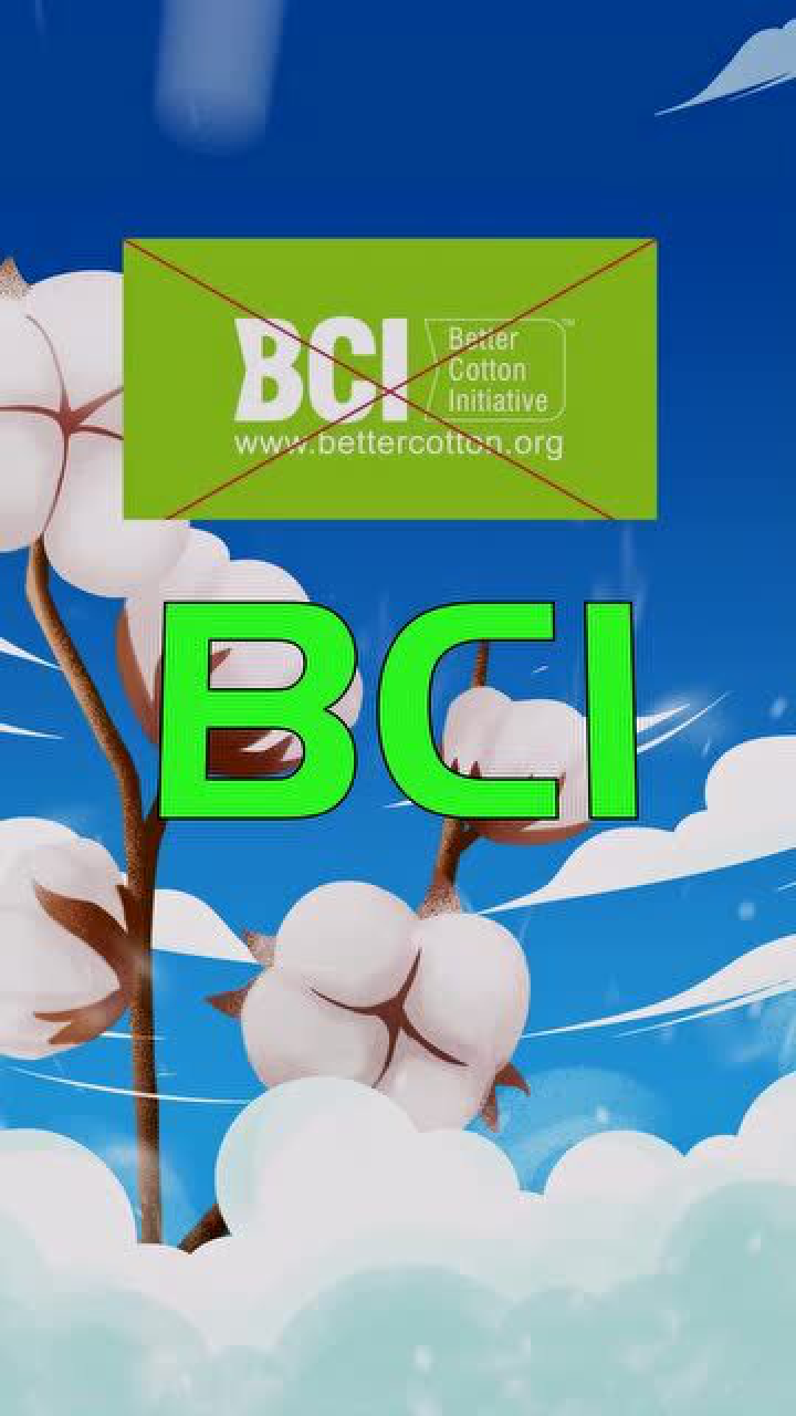 最近频繁作死的bci到底是个啥组织?_高清1080p在线观看平台_腾讯视频