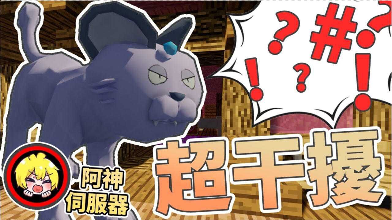 我的世界《阿神宝可梦服务器生存》#28 超·物理坦克 高速游击猫老大!