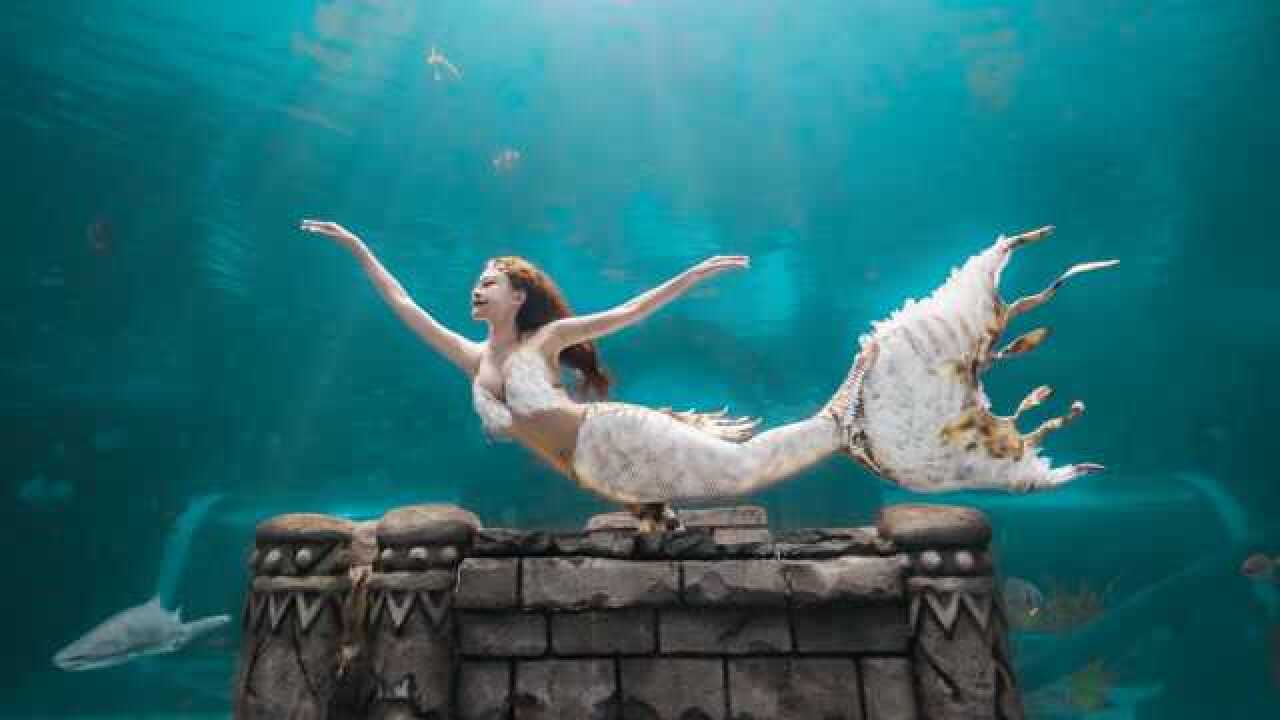 2020年融创文旅集团美人鱼水下摄影视频大赛优秀作品鱼天使