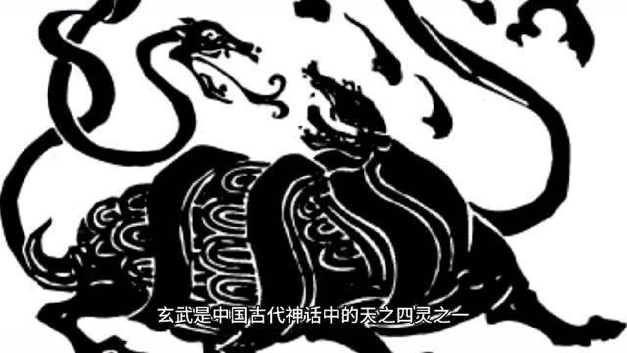 玄武图片 神兽壁纸图片