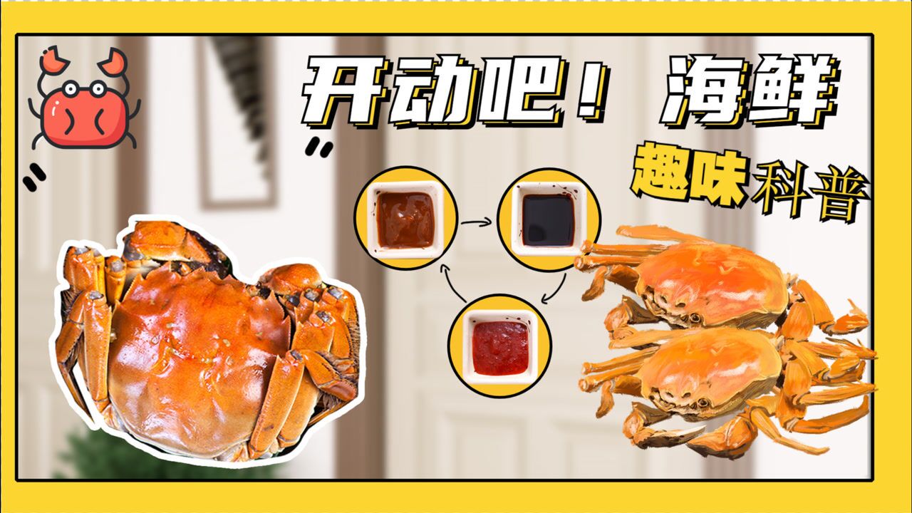 海鲜》趣味科普:了解梭子蟹和花蟹的区别_高清1080p在线观看平台_腾讯