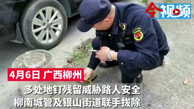 柳南区两处路面地钉外露“张牙舞爪随时咬人”?城管接报快速处置除隐患