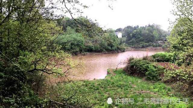 挑战连续野钓260天 第34天 完善垂钓基地 挖个鱼池钓来的鱼自己养