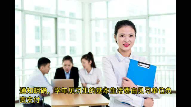 每月1000元! 沈阳参加就业见习大学生可领补贴