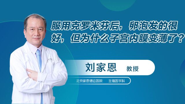 服用克罗米芬后,卵泡发育的很好,但为什么子宫内膜变薄了?