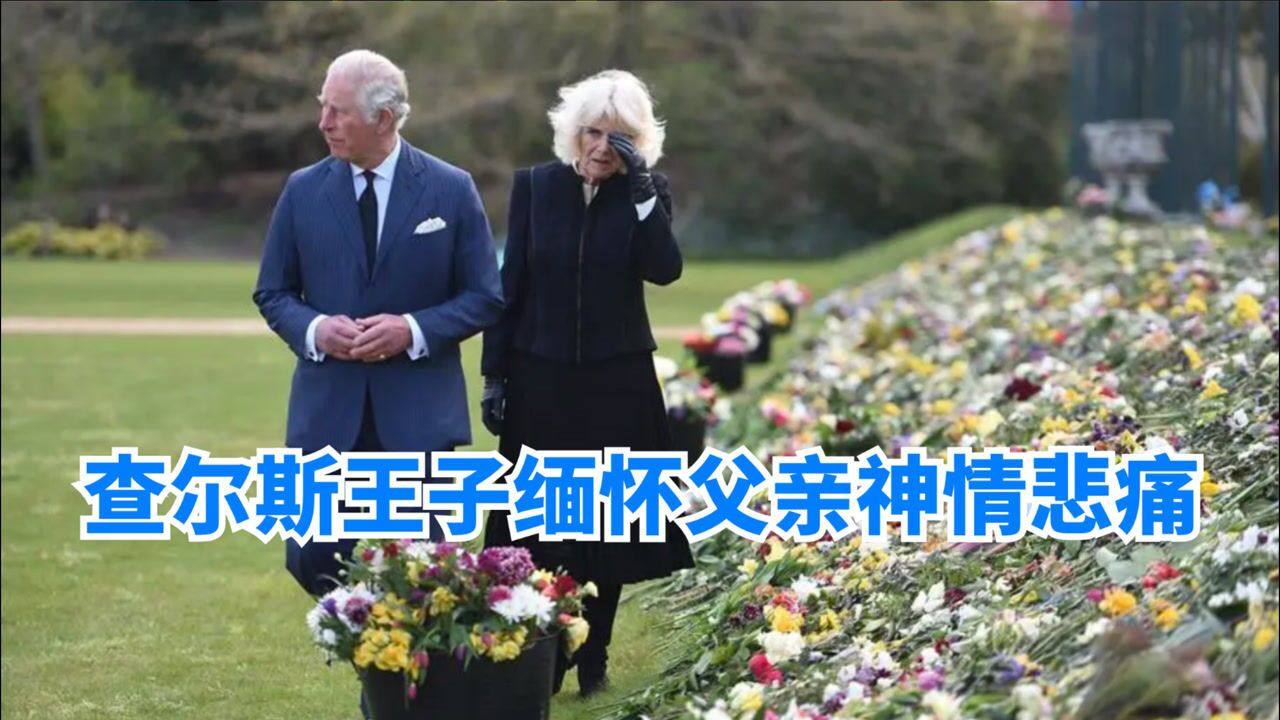 菲利普亲王的葬礼:查尔斯悼念父亲,和卡米拉悲伤得双双抹眼泪,画面太