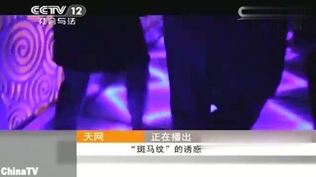 回顾:斑马纹的诱惑(二):聊天高手处处留情,多角恋爱网络难寻真相!