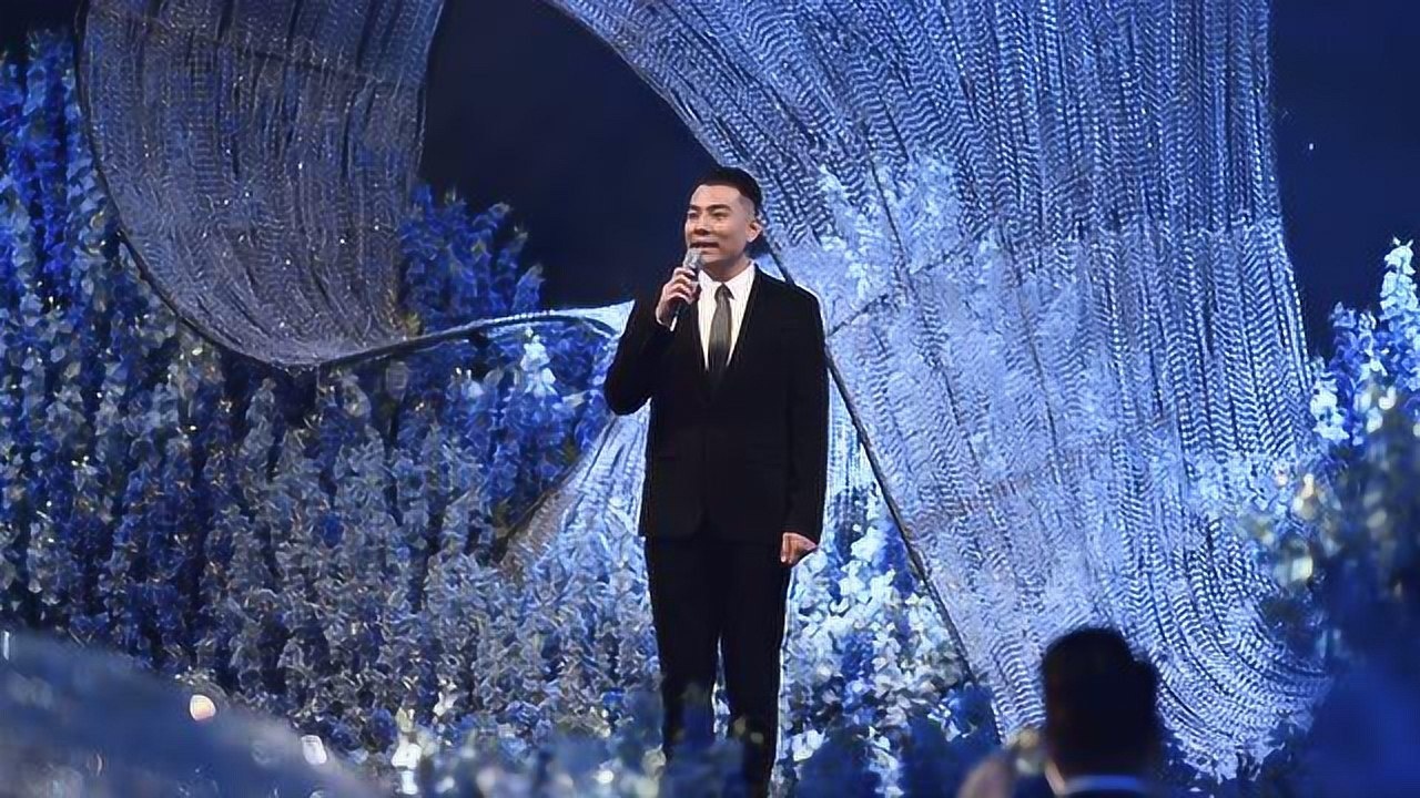 郎艺主持人王鑫