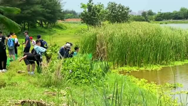 海南“国兴筑梦”研学直通车首发营开营