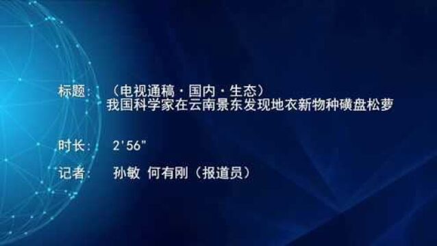 (电视通稿ⷥ›𝥆…ⷧ”Ÿ态)我国科学家在云南景东发现地衣新物种磺盘松萝