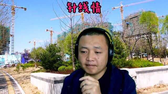 你是针我是线,针线永远紧相连,闽南语老歌《针线情》