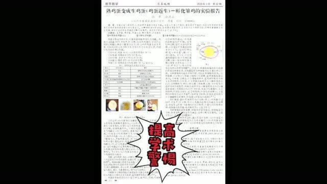 孩子应警惕熟鸡蛋孵化雏鸡论文带来的认知