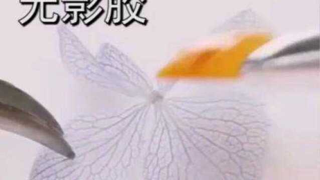 教你制作漂亮花朵