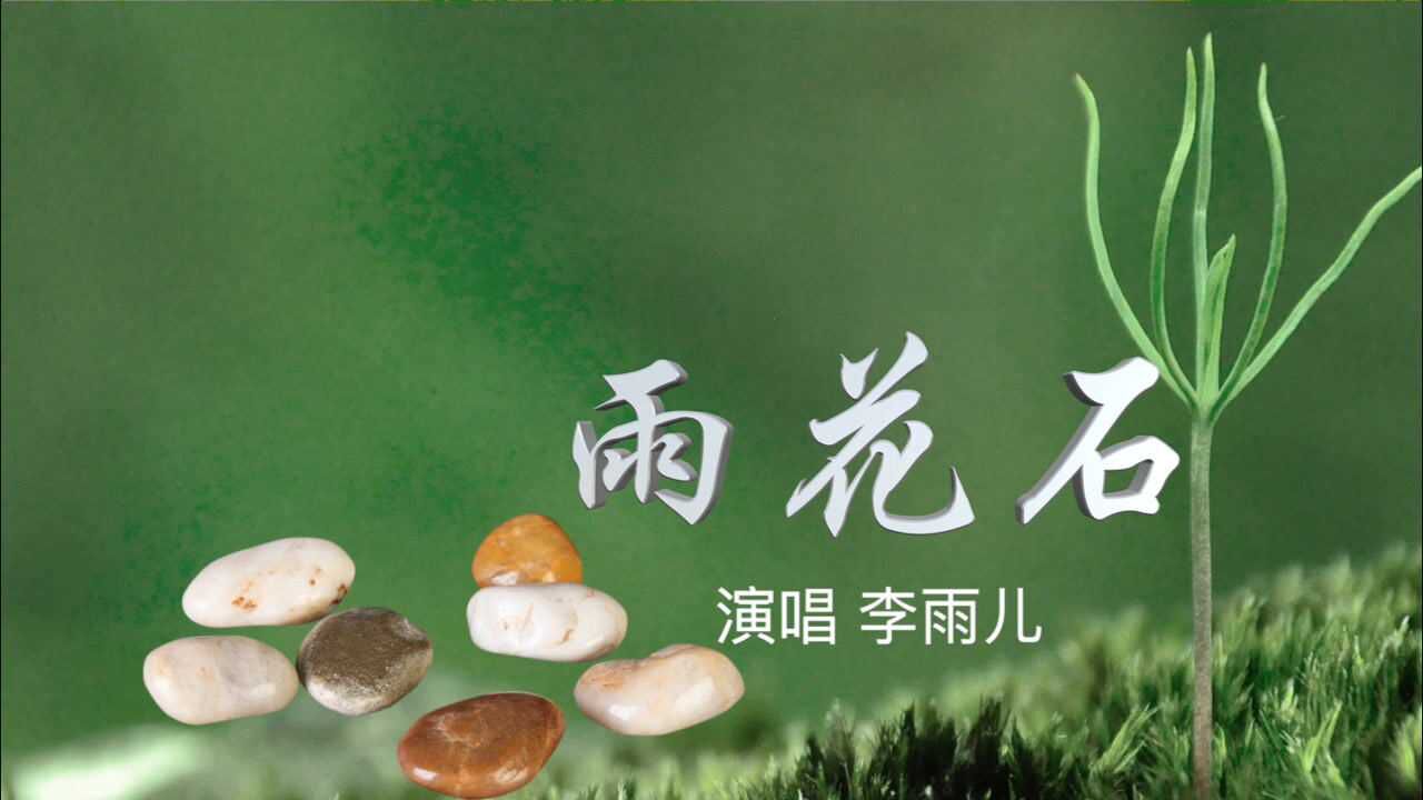 《雨花石》李雨儿与石头演唱,两个人配合浑然天成,让人陶醉.