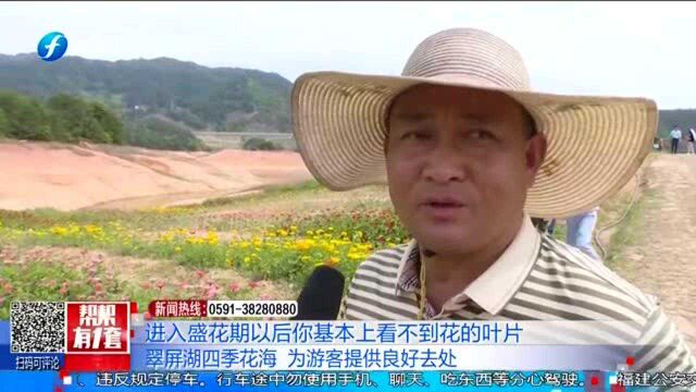 一路高歌赏美景!宁德古田翠屏湖四季花海“五一”期间正式开放