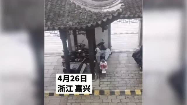 男子在西塘景区旅游被坑?自称:本来是免费的,却花了570块门票!