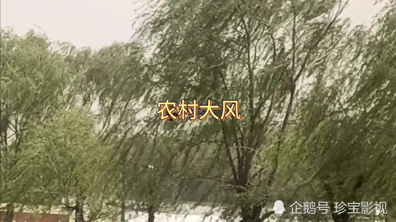 农村刮大风的情景_高清1080P在线观看平台_腾讯视频