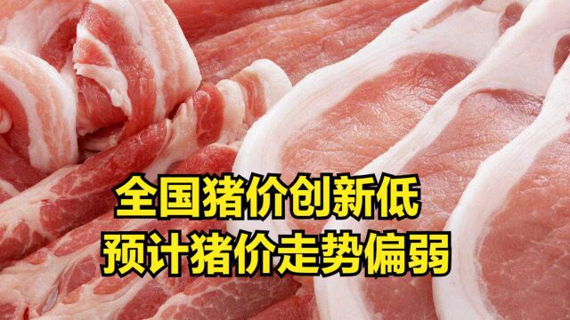 多只猪肉概念股下跌,全国猪价创新低,预计猪价走势偏弱