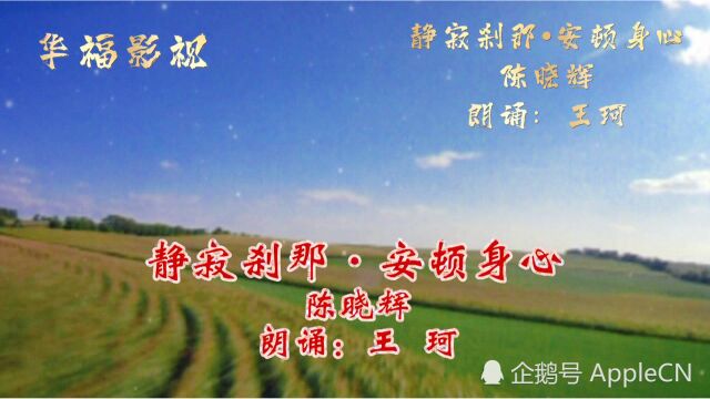 静寂刹那ⷮŠ安顿身心#灵性美学#陈晓辉#王珂#朗诵#学习#作文#中高考