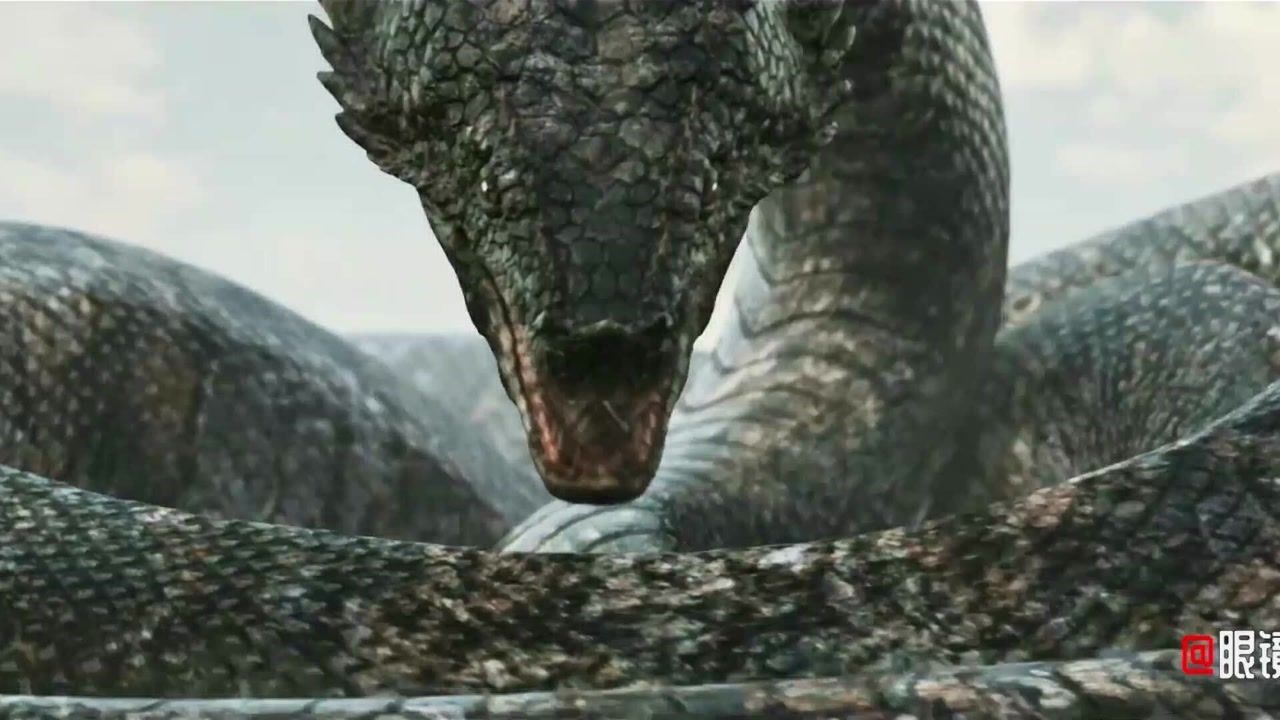 这几个国家的巨蛇怪,你认为哪个比较厉害,中国的巨蛇怪好残暴啊