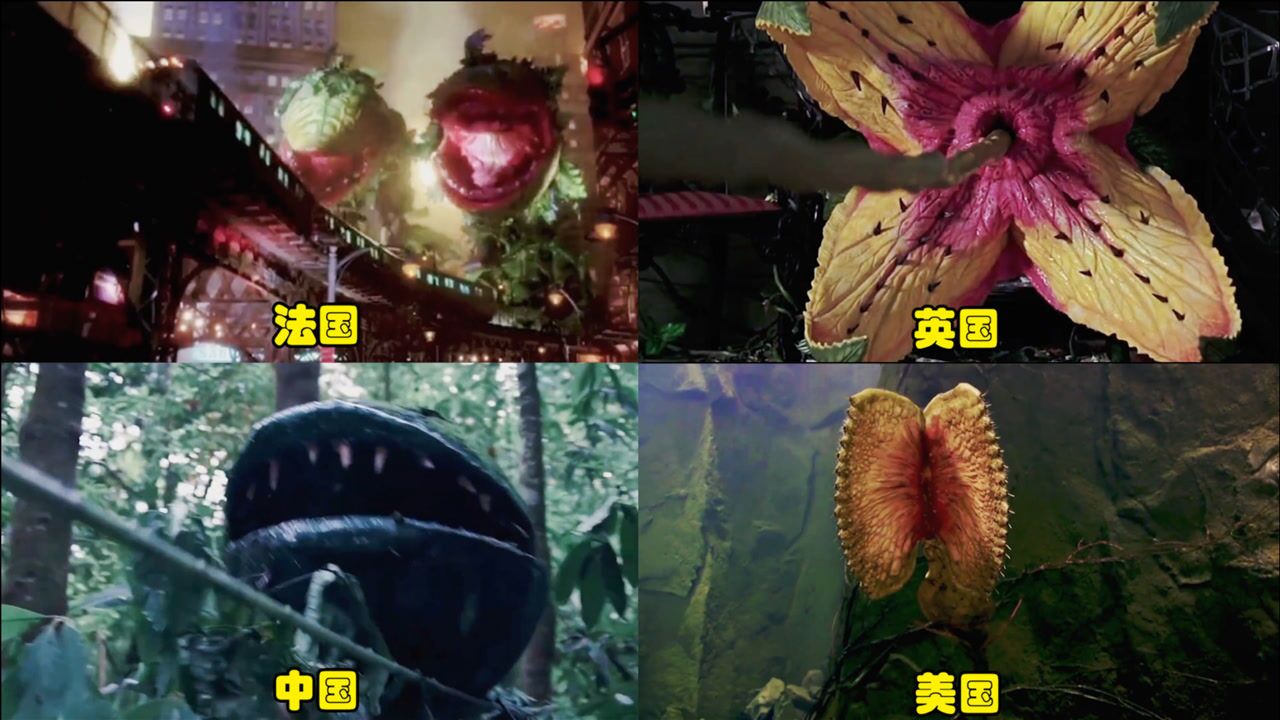 盘点各个国家的食人花你觉得哪个更厉害法国食人花能吞下地铁