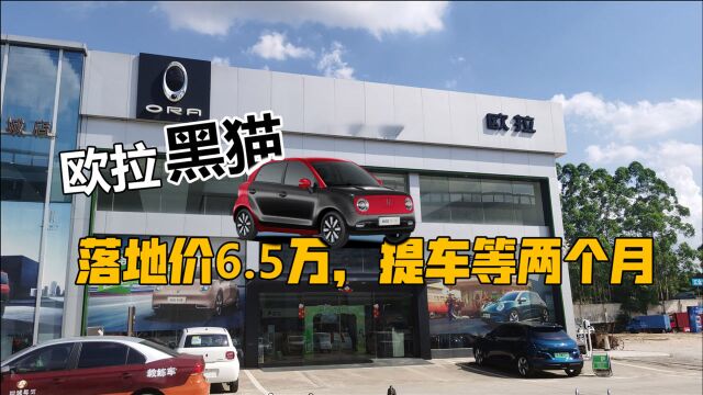 探店欧拉黑猫,落地价6.5万,提车等两个月