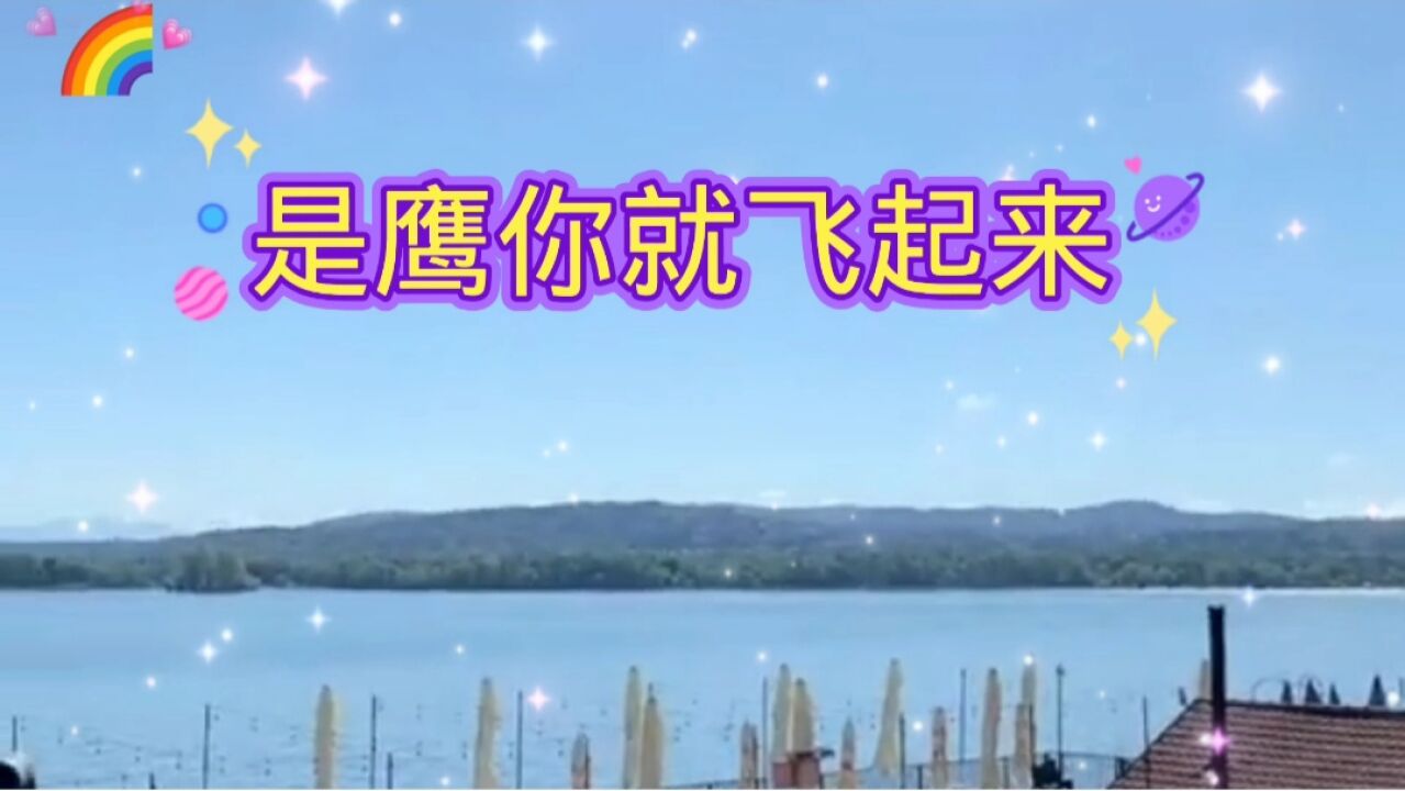 是鹰你就飞起来._腾讯视频