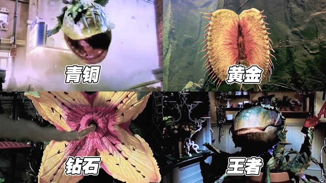 假如食人花有段位,钻石食人花能吞人,王者食人花能吞下地铁#电影种草