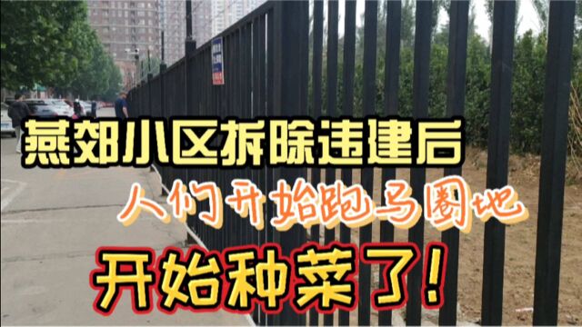 廊坊燕郊小区拆除违建后,居民跑马圈地开始种菜,过上田园生活!