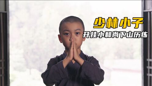 [图]新版少林小子，释小鱼下山历练，遇上龙拳小子，不打不相识