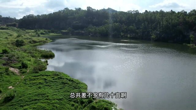 东莞发现一处钓鱼胜地,几十亩山体水库已放几百斤鱼,关键免费钓