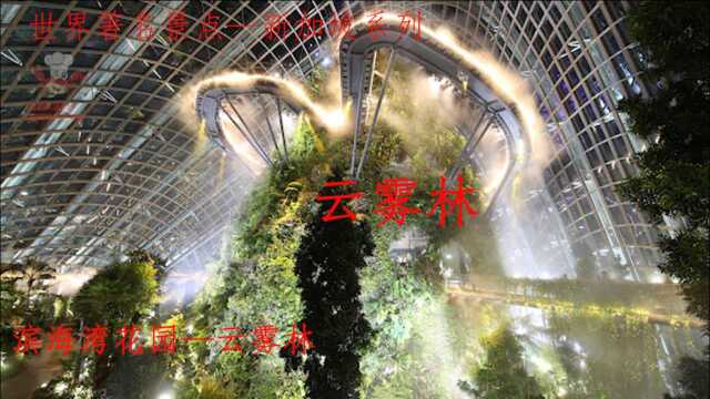 云雾林上集—世界著名风景,新加坡系列