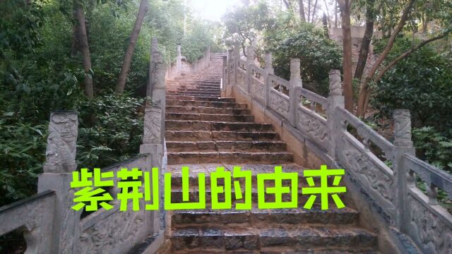 郑州紫荆山公园,历史遗留下来的古城,你知道它的由来吗