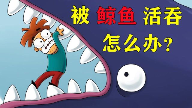 假如你被鲸鱼活吞,该如何完成自救呢?#“知识抢先知”征稿大赛#