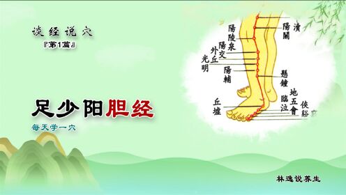 每日一穴：足少阳胆经-胆经循行_高清1080P在线观看平台_腾讯视频