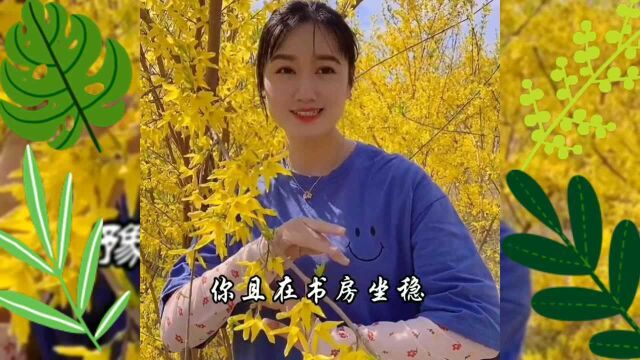 豫剧《秦雪梅》唱段“听我把知心的话细对你云”王英姿演唱