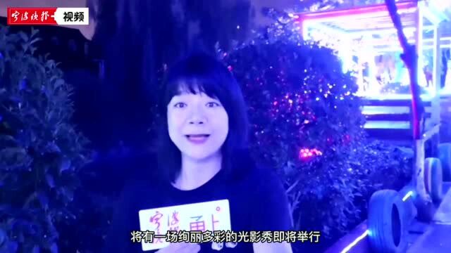 宁波植物园的这场光影秀太美了!有市民举着手机拍了一个小时!8月10日前都可前往观看