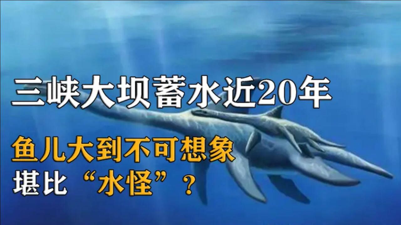 三峡大坝突现水怪专家把它拖上岸后却惊呆众人