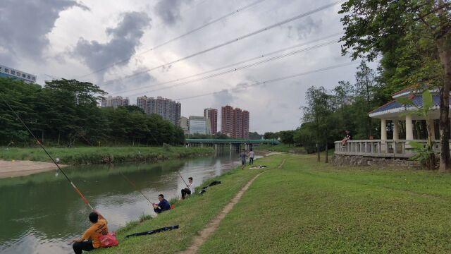 深圳免费钓鱼的好地方,鱼超多泛滥,十几斤还不少,这鱼能吃吗?