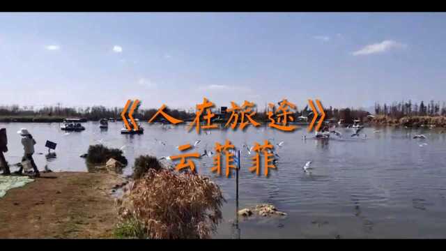 经典歌曲《人在旅途》——云菲菲