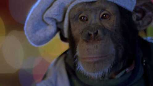 大展猴威：猩猩自小生活自理，还能参加冰球比赛，这样的猩猩你见过吗？