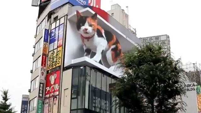 日本街头现“巨型会说话猫咪” 市民纷纷驻足围观