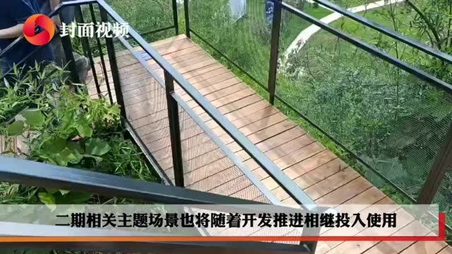 乡村旅游带动乡村振兴 互联网企业将高端民宿开进小村