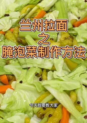 蘭州拉麵醃泡菜 製作方法_騰訊視頻