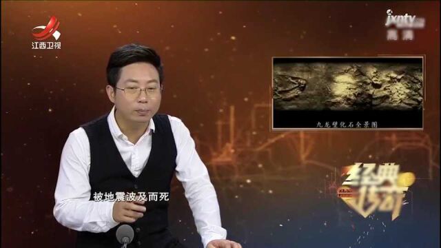 肯氏兽并非死于地震,也不是洪水,而是陷入沼泽死掉的