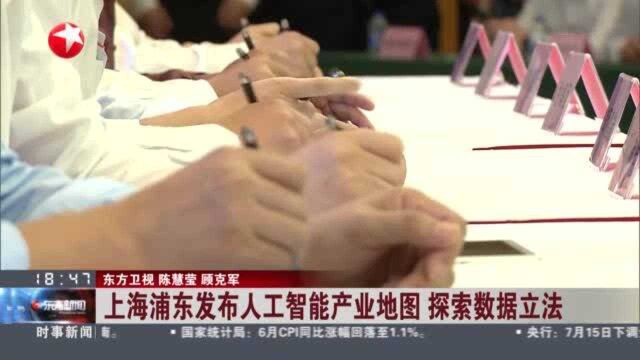 上海浦东发布人工智能产业地图 探索数据立法