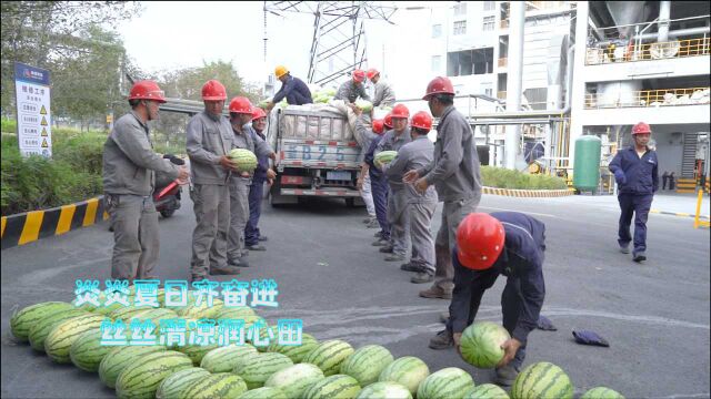 中泰矿冶党委情系一线送清凉