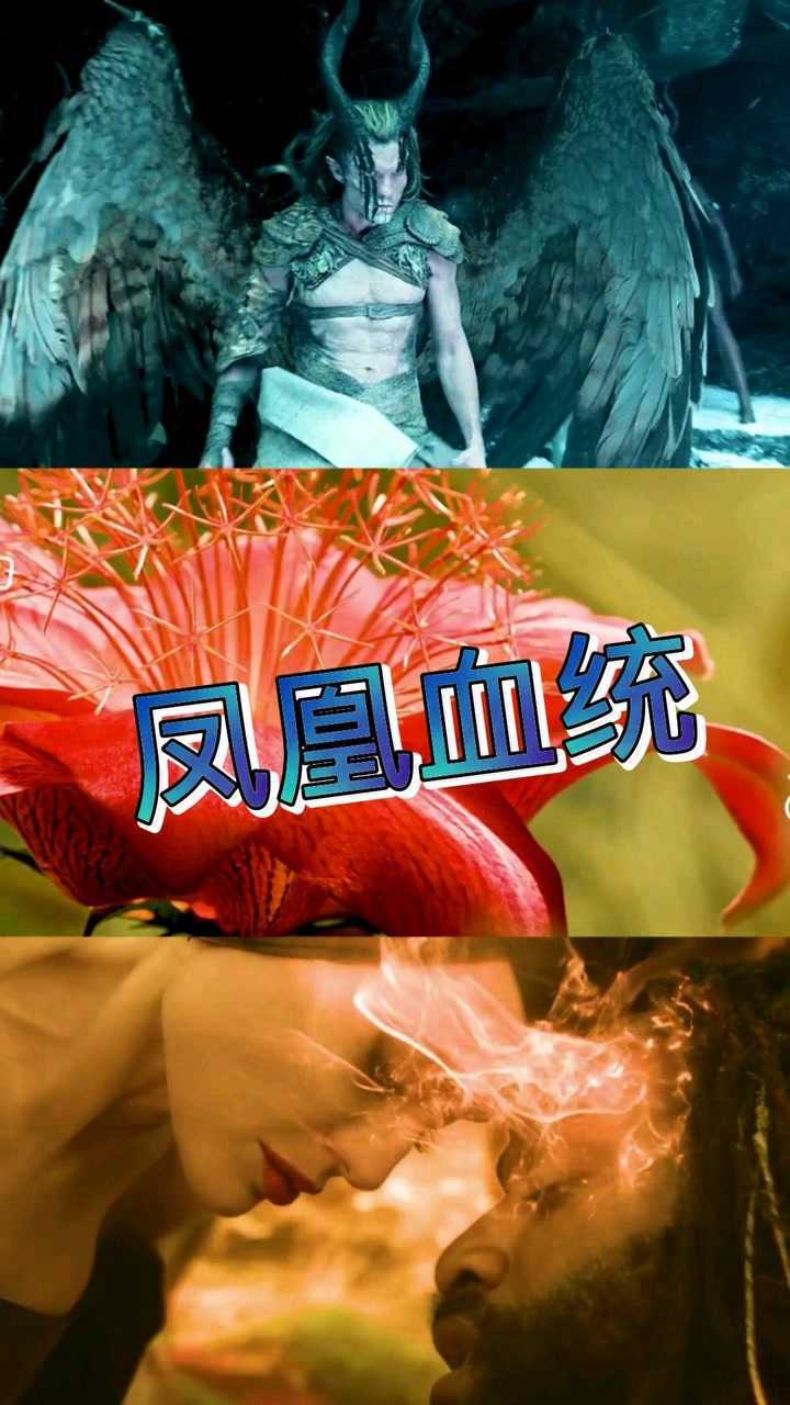 精彩片段沉睡魔咒2一位凤凰血统的女人